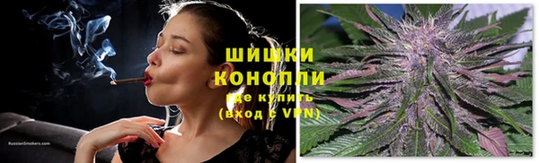 mdpv Горняк