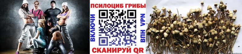 Галлюциногенные грибы мицелий  Купить где  Мантурово 